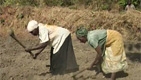 Climate Smart Agriculture: Helping the Wo...